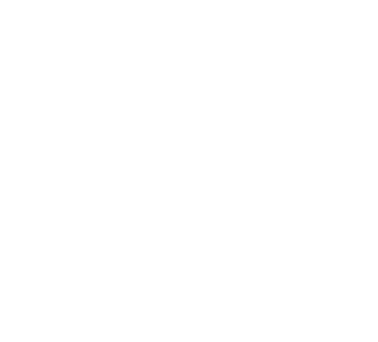 Hermanos de El Tigre Silencioso